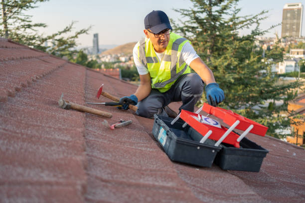 Best Steel Siding Installation  in Marlene Village, OR